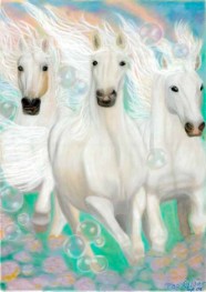 Grace Spirit Horses